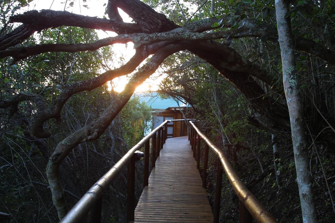 Under The Boardwalk B&B Guest House Wildernis Esterno foto